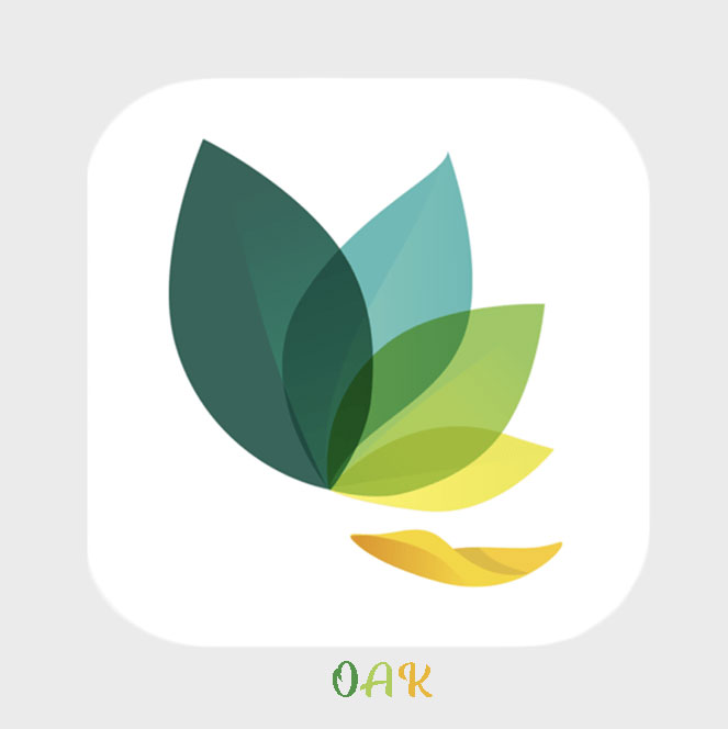 oak-meditation-app